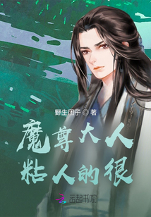 魔尊大人粘人的很