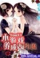 小游戏养成契约流