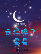 云揉碎了星星在线阅读