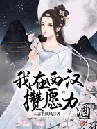 我在西汉攒愿力在线阅读