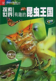 有趣的昆蟲王國