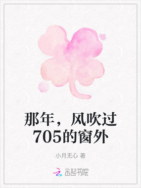 那年，风吹过705的窗外在线阅读