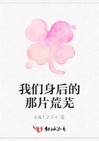 我們身后的那片荒蕪在線閱讀