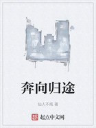 奔向歸途在線閱讀