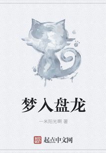 夢入盤龍