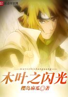 木葉之閃光在線閱讀