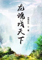 龙魂戏天下在线阅读