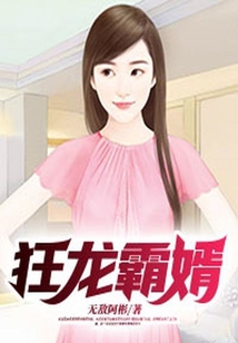 狂龍霸婿