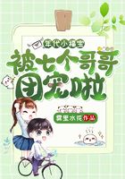 年代小福寶，被七個(gè)哥哥團(tuán)寵啦在線閱讀