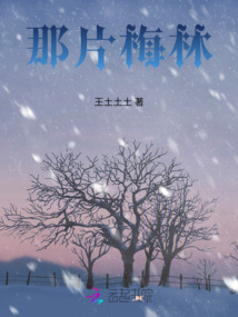 那片梅林