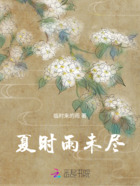 夏时雨未尽在线阅读