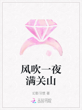 风吹一夜满关山在线阅读
