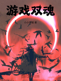 游戲雙魂