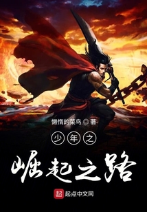 少年之崛起之路