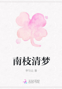 南枝清夢