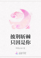 披荊斬棘只因是你在線閱讀