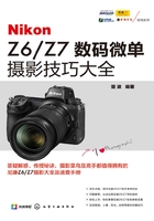 Nikon Z6/Z7 数码微单摄影技巧大全在线阅读