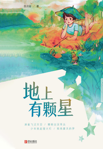 地上有顆星