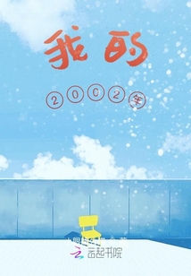 我的2002年
