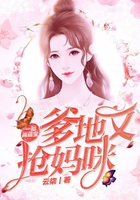 一胎两萌宝：爹地又抢妈咪
