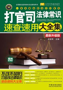 打官司法律常识速查速用大全集:案例应用版(最新升级版)