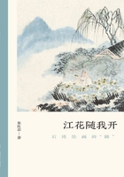 江花随我开：石涛绘画的“躁”（文人画的真性）