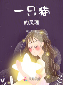 一只貓的os之第一彈