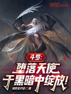 斗罗:堕落天使,于黑暗中绽放!在线阅读