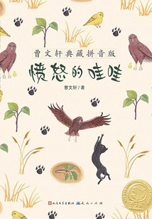 愤怒的哇哇