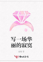 寫一場華麗的寂寞在線閱讀