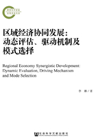 区域经济协同发展：动态评估、驱动机制及模式选择在线阅读