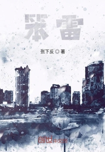 笨雷2