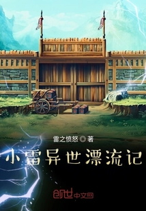 小雷異世漂流記