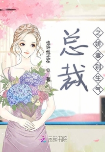 總裁之嬌妻別生氣