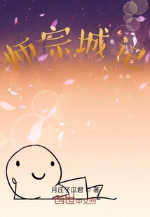 師宗城記