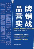 品牌营销实战：新品牌打造+营销方案制定+自传播力塑造在线阅读