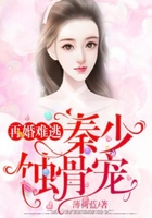 再婚難逃：秦少蝕骨寵在線閱讀