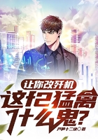 让你改歼机，这f2猛禽什么鬼？