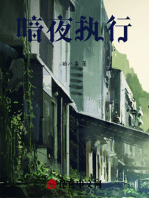暗夜執行