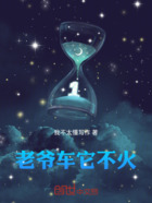 老爷车它不火在线阅读
