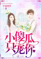 小傻瓜只寵你在線閱讀