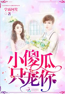小傻瓜只寵你