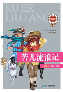苦兒流浪記