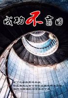 成功不盲目在線閱讀