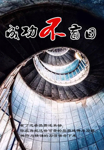 成功不盲目