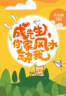 成先生,你家風(fēng)水缺我