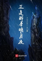 正是那年明月夜在線閱讀