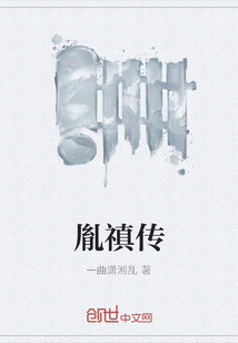 胤禛傳