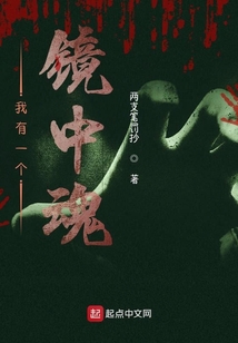 我有一個鏡中魂