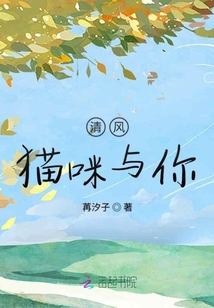 清風貓咪與你